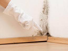 Best Mold Removal for HVAC Installations  in North Chicago, IL